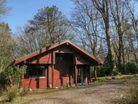 A wooden cabin surrounded by trees with a gravel path in front at Forsa Lodge in Glenforsa near Salen Isle Of Mull