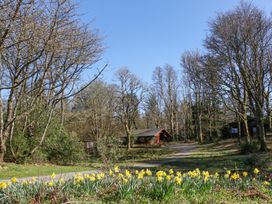 A garden path with yellow flowers and leafless trees with a red wooden cabin in the background at Forsa Lodge in Glenforsa near Salen Isle Of Mull