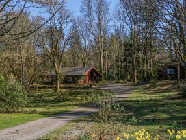 A wooded area with a gravel path leading to red wooden cabins surrounded by trees and grass at Forsa Lodge in Glenforsa near Salen Isle Of Mull