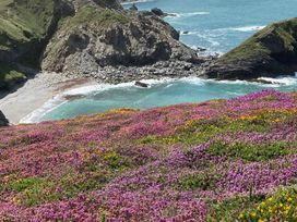 A coastal landscape with pink and yellow flowers on a hillside overlooking a rocky beach and turquoise sea at Hepworth in Portreath