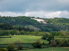 Badger - North Yorkshire (incl. Whitby) - 1170004 - thumbnail photo 23