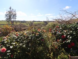 Magnolia View - Devon - 1170059 - thumbnail photo 50