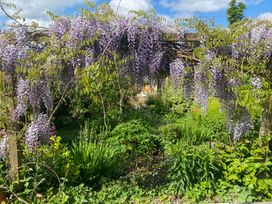 Magnolia View - Devon - 1170059 - thumbnail photo 47