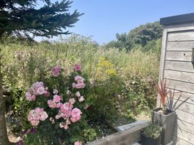 A garden with pink roses and a wooden shed at The Cow Shed in Mawgan Porth