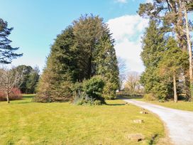 A grassy area with tall evergreen trees and a gravel path running through it at Millers Loft in Modbury