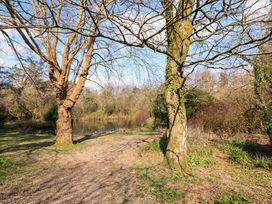 A path between two trees near a pond surrounded by woodland at Millers Loft in Modbury