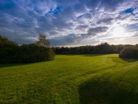 A grassy field with bushes and trees under a cloudy sky at Bugail Hut in Llantwit Major