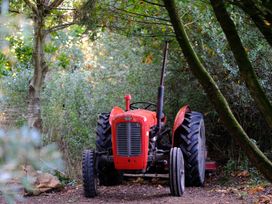 A red tractor parked on a dirt path surrounded by trees and foliage at Bugail Hut in Llantwit Major