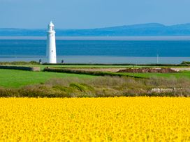 A yellow flower field with a white lighthouse and sea in the background at Bugail Hut in Llantwit Major