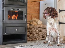 Beech Tree Cabin - North Yorkshire (incl. Whitby) - 1170484 - thumbnail photo 4