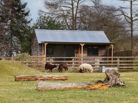 Beech Tree Cabin - North Yorkshire (incl. Whitby) - 1170484 - thumbnail photo 19