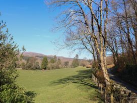 A grassy field with trees and a narrow road next to a fence in Dolgellau