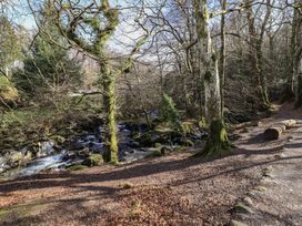 A forest trail with moss-covered trees and a flowing stream with rocks in Dolgellau