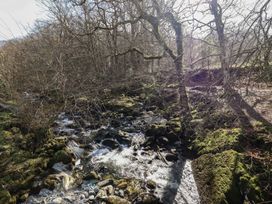 A forest with a flowing stream surrounded by rocks and leafless trees at Clywedog Cottage in Dolgellau