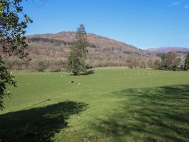 A grassy field with sheep and a large tree with hills and trees in the background at Clywedog Cottage in Dolgellau