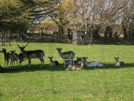 The Granary - Devon - 1170500 - thumbnail photo 29