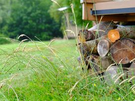 Stacked firewood next to a wooden structure with tall grass and trees in the background at Caban Llwynon in Tresillian Wood near Llantwit Major