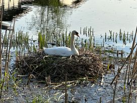 Lakeside 18 - Yorkshire Dales - 1170659 - thumbnail photo 43