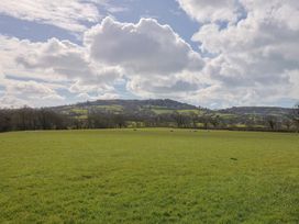 A field with sheep grazing and a hill in the background at Daisy Cottage Whitchurch Canonicorum near Charmouth