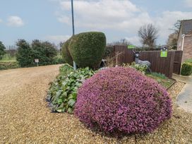 A gravel driveway with shaped bushes plants and a deer statue near a wooden fence at Charlottes in Holbeach
