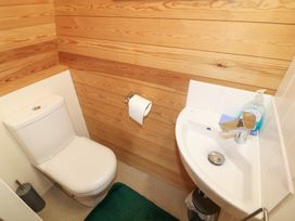 A small bathroom with a white toilet a sink with hand soap and a green rug on the floor at Charlottes in Holbeach