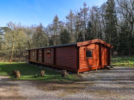 A wooden cabin surrounded by trees and grass at Forest Lodge in Kenwick Woods