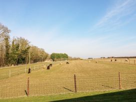 A fenced grassy field with alpacas grazing and trees in the background at Alpaca Lodge in Barkston