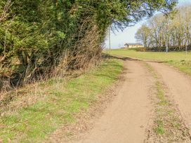 A dirt road leading to a small building with trees and grass on either side at Alpaca Lodge in Barkston