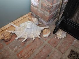 A group of seashells on a brick floor beside a fireplace at The Woodshed in Tendring near Weeley
