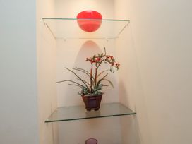 A potted plant on a glass shelf under a red light in a corner space at Counting House in Bridlington