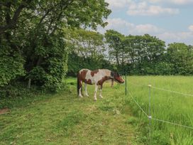 The Stable - Cornwall - 1171177 - thumbnail photo 24