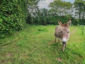 The Stable - Cornwall - 1171177 - thumbnail photo 25