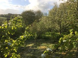 A view of a garden with trees and flowers at Pit Paddy Barn Cusgarne near St Day