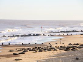 A beach with seals resting on the sand and waves breaking near the shore at 6 Barleycroft in Hemsby