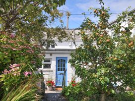 A house with a blue door and plants at 2 Porthilly Cottages in Rock