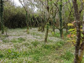 The Cottage, Little Trembroath - Cornwall - 1171308 - thumbnail photo 13