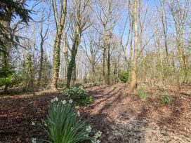 A woodland path surrounded by trees and flowering plants at Woodlands Retreat Shepherds Hut in Brundish near Laxfield