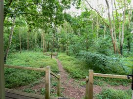 A path leading through trees with seating in the woods at Woodlands Retreat Shepherd's Hut Brundish near Laxfield