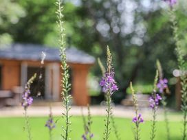 A garden with purple flowers and a wooden cabin at Roe Deer Lodge Littlebeck near Sleights