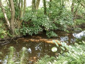 A stream surrounded by trees and ferns at Roe Deer Lodge in Littlebeck near Sleights