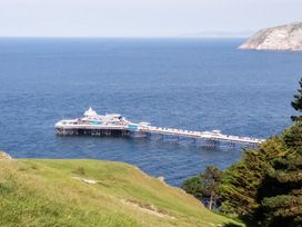 A pier extending over the sea with hills and trees in the foreground at 51 Trinity Avenue in Llandudno