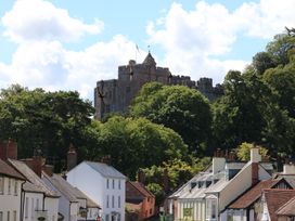 A castle on a hill surrounded by trees overlooking a street with houses in a village