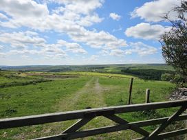 A view of fields with sheep and a path at Petty Knowes Cottage Rochester near Otterburn