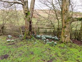 A garden with trees and flowers at Petty Knowes Cottage Rochester near Otterburn