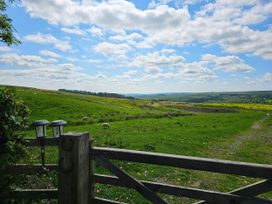 A view of sheep in a field from a gate at Petty Knowes Cottage Rochester near Otterburn