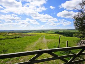 Petty Knowes Cottage - Northumberland - 1171631 - thumbnail photo 37