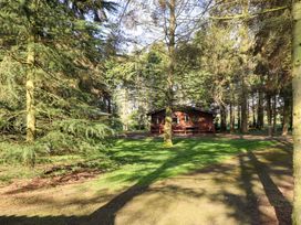 A wooden cabin surrounded by trees and grass in a forested area at Goldcrest in Withern near Alford