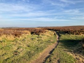 A grassy dirt path winding through open moorland under a blue sky