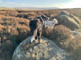 Two dogs standing on a rock in an open field with heather and hills in the background at Little Acre in Oxenhope