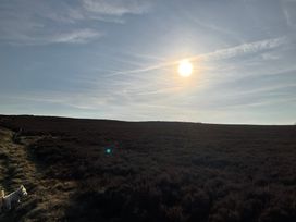 An open field with a path and two dogs under a bright sun in the sky